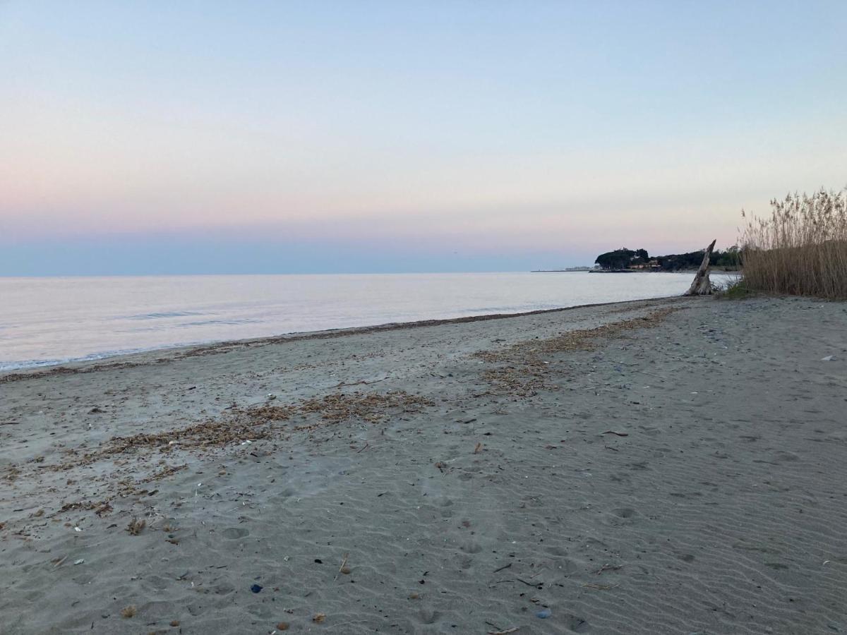 Hotel La Demeure Coloniale Moriani-Plage Zewnętrze zdjęcie